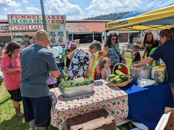 Farmer’s Market a Hit at Marshall County Fair News, Sports, Jobs